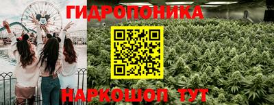 индика Вязники