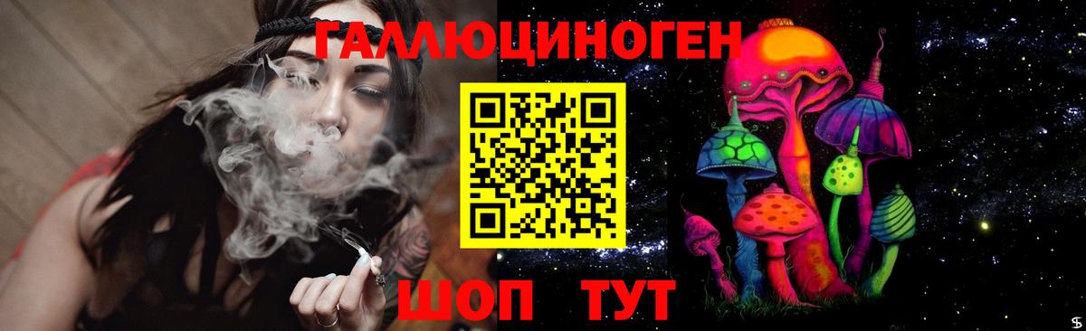 Галлюциногенные грибы Psilocybe Киселёвск